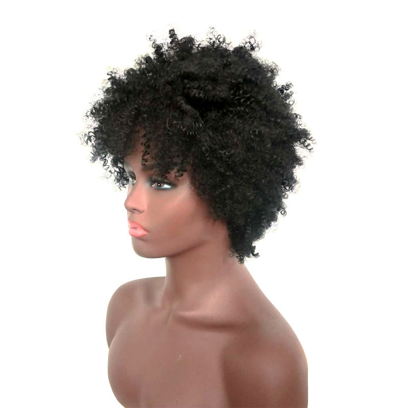 Women's short curly hair explosion wig 1024121106