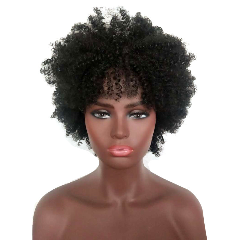 Women's short curly hair explosion wig 1024121106