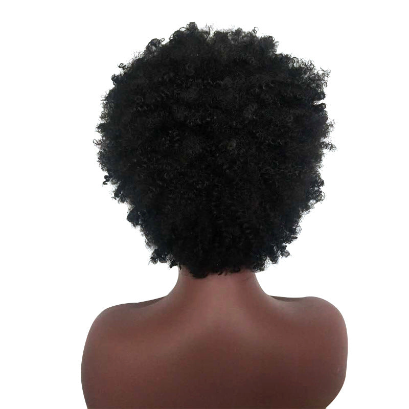 Women's short curly hair explosion wig 1024121106