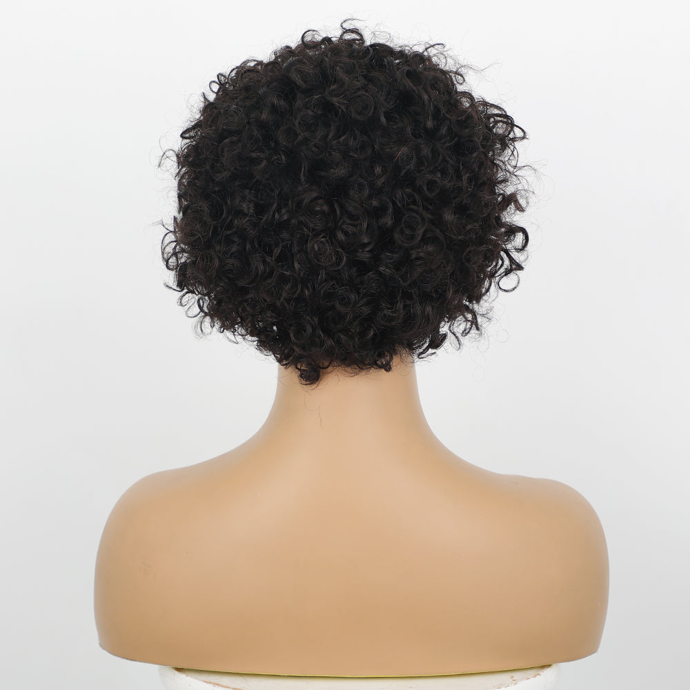 Ladies' Fashion Short Full Lace Wig 1024121304